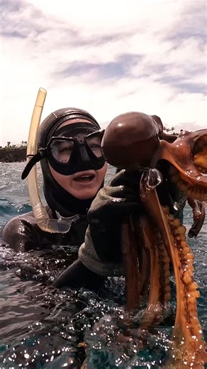 719K views · 7.2K reactions | Girls Hunting Hawaii Octopus | Ryan Myers Spearfishing | Facebook