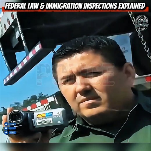 15K views · 253 reactions | Federal Law And Immigration Inspections Explained | Viki Dózsa Tattoo | Facebook
