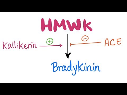 Kallikrein-Kinin​ System (Pathway)- Let’s make Bradykinin - Physiology, Biochemistry, Pharmacology