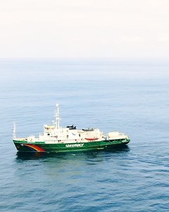 Om te voorkomen dat Shell 11.000 ton olie in de Noordzee achter zou laten, protesteerden wij. Zonder geweld, zoals altijd. Nu slepen zij ons voor de rechter om ons het recht om te protesteren af te nemen. Jouw stem is het hardste geluid dat je kunt maken om te protesteren. Gebruik ‘m en deel de video. Ga naar https://act.gp/right-to-protest voor meer info. | Greenpeace Nederland