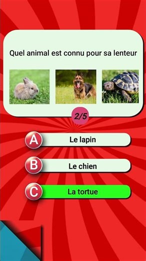 quiz: essaye de répondre à toutes les questions !