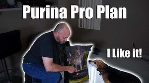 Watch Vet recommended dog food, Buddy Loves it on Amazon Live