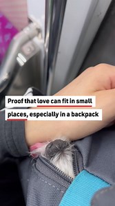 15K views · 105 reactions | Dog Licks Human #dogs #humor #funnydogsvideo | Reader's Digest | Facebook