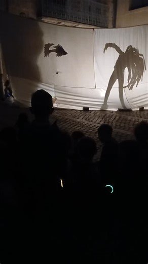 Coralie Mantion on Instagram: "Quand les habitants s'emparent de la fête des lumières. Merci aux Amoureux de Candolle pour ce moment de poésie."