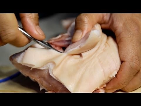 A Close Look INSIDE Karambit Flesh Damage! (GRAPHIC WARNING)