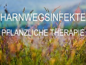 Harnwegsinfekte. Teil 1 - Pflanzliche Therapie.