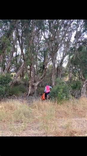 We went early this week on our Albany to Mt Barker ‘Vanilla Slice’ crazy mission.I reckon all our usual fans were checking what day it was We managed 13 bags in 800m as we pushed past the Narrikup turn off. Todays observations …. theres is a lot of safe sex happening in the area with condom packages discarded. 😲. A manic Shien clothes buyer thought it was ok to let loose 9 plastic bags into the bush. We looked hard for a name. 😡 And the amount vehicle/truck parts we collect each week makes us 
