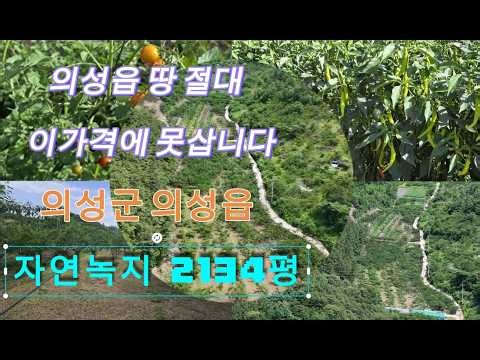 급매 급처 의성군 의성읍 자연녹지 과수원 매매 의성구봉부동산#의성땅매매#의성토지매매