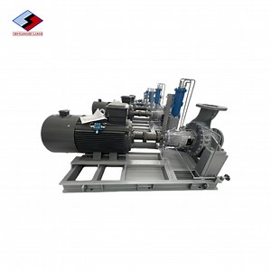 [Hot Item] API 610 Petrochemical Process Pump