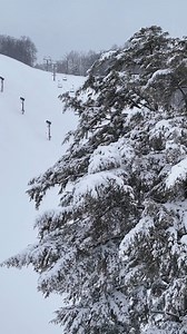 🌷 Happy First Day of Spring! Winter is not over yet, and we're celebrating our spring turns with 6" of fresh snow! Come and get it while it lasts! 🔗 #ski #snowboarding #keepwinterfresh #upnorth #michigan #harborsprings | The Highlands