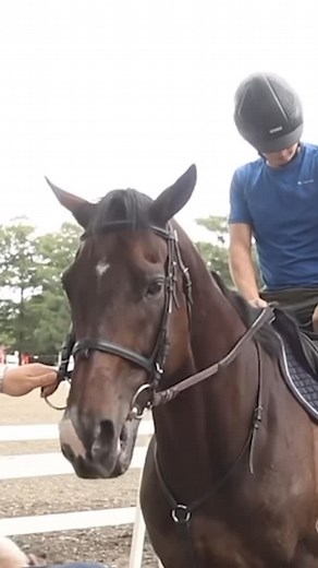 GOLDEN SIXTY’s longtime work rider Alex Yu got the chance to ride the superstar, 10 months on from the last time! 🫶 #HKRacing | #ゴールデンシックスティ | Hong Kong Racing