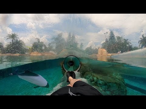 Dolphin Plunge (4K On-Ride) Aquatica Orlando