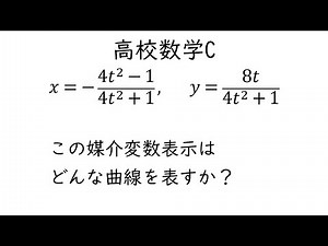 Parametric Expressions Using Fractional Formulas [Mathematics C Formulas and Curves]