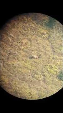 738 yard Elk with a 6.5 PRC Barbourcreek Friend and client