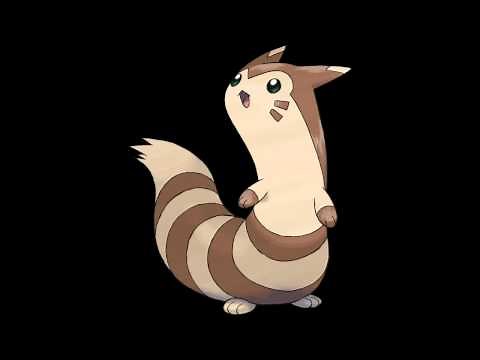 162 Furret Cry