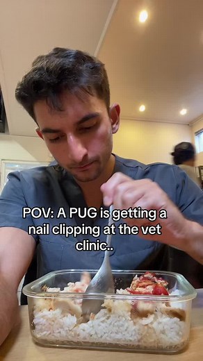 Pugs Screaming at Vet Clinic | Funny & Cute Pug Reactions