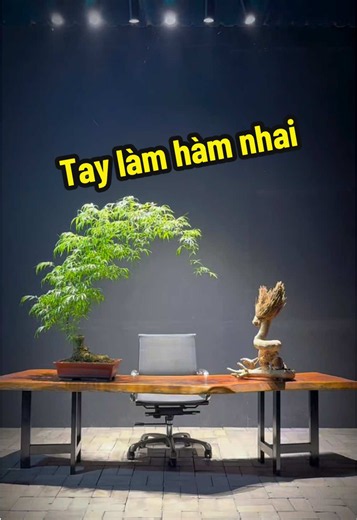 Tay làm hàm nhai bonsai đơn giản