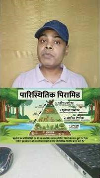 Ecological Pyramid I Environment & Ecology I #youtube #facts #youtubeshorts #ytshorts #01