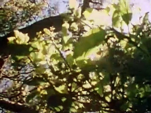 Cosmos Season 1 Episode 4 - Heaven and Hell - video Dailymotion