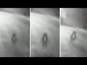 Do These Photographs Shows The Mysterious Nightcrawler...?