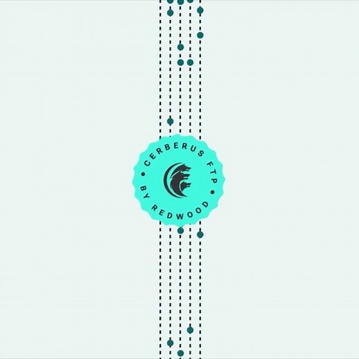 Cerberus Demo: Build Thoughtful Automations