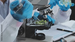 testing a plant sample in a biochemical science laboratory. a scientist studies the genetics of plants