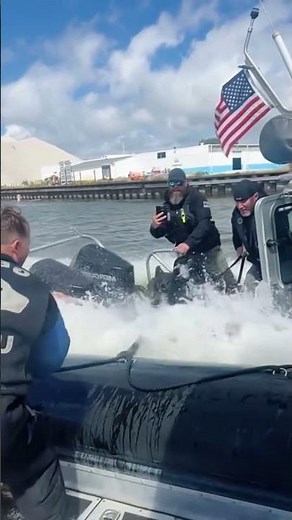 K9 Police Dog Takes Down Thief in Real Action — Incredible Capture! 🚔🐕 #dog #police