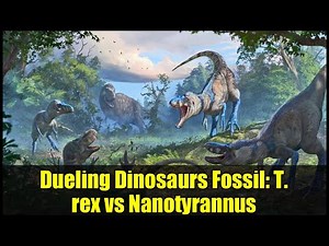 Dueling Dinosaurs Fossil: T. rex vs Nanotyrannus | Paleontology Breakthrough