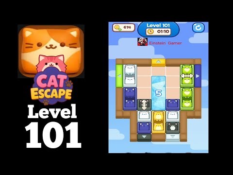 Cat Escape level 101 Walkthrough Solution