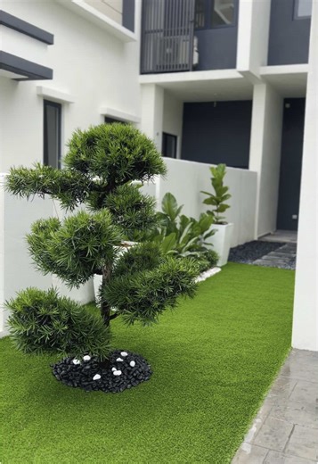 Bonsai: Sentuhan Modern untuk Laman Rumah