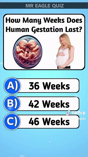 Engaging General Knowledge Quiz Challenge