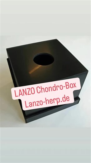 Lanzo Herp Cages on Instagram: "#moreliaviridis #morelia #reptilien #baumpython"