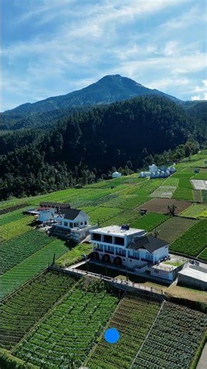 Beautiful Green Fields Aerial View 🌿 Relaxing Nature Shorts #shorts #greenfield