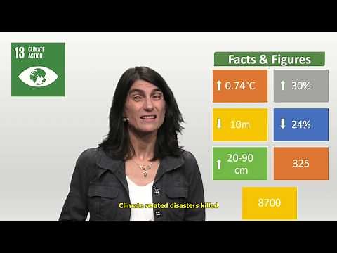 Sustainable Development Goal SDG 13 Climate Action