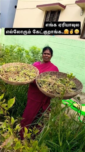 😎Ellorum kekkuraanga..🤗✅😁Organic ragi harvest #nature#healthylifestyle#shorts