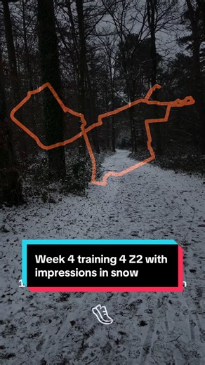Snowy Week 4 Z2 Running Training Insights
