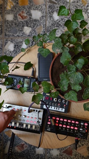 Jam 266. volca BASS + NTS-1 + SQ-1 #volca #volcabass #korgnts1 #korgsq1 #synth