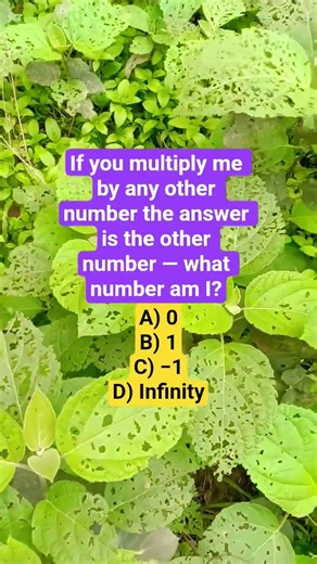 If you multiply me by any other number the answer is the other number — what number am I?
