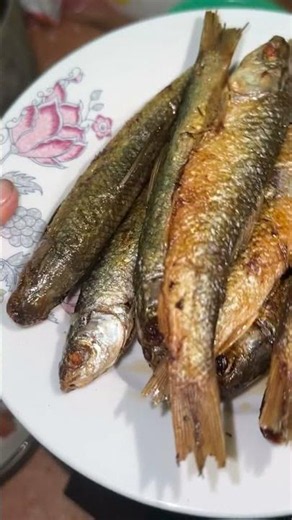 #Food #ReliableInformation #HealthTips 4 Types of Fish Even a 30-Year Veteran Sushi Chef Won't Ea...