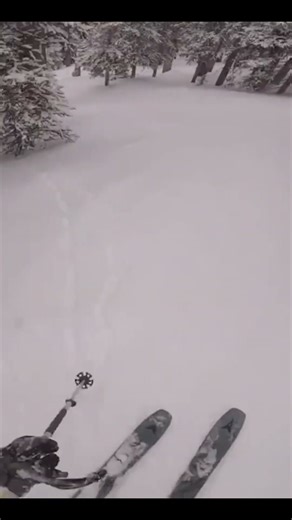 Wide open Colorado tree skiing at the ski resort #skiing