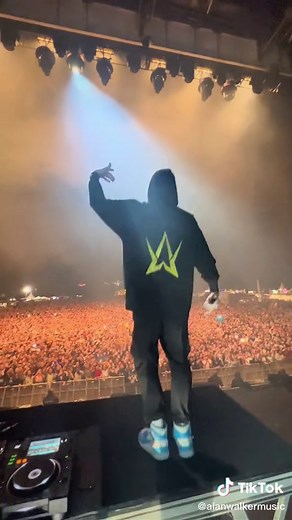Alan Walker Spectre Performance at Main Square Festival in France