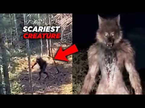 Dogman Encounters After Midnight — Disturbing Wilderness Footage
