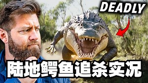 【史前澳洲地狱模式】5大灭绝凶兽盘点：6米毒蜥×陆地鳄鱼×脊椎粉碎机【字幕】#灭绝动物 #史前生物 #恐龙 #冷知识 #动物世界 #远古巨兽 #生存挑战