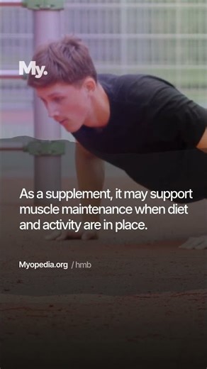 The Ultimate HMB Guide for Beginners