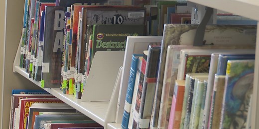 How did area 3rd graders do on the 2024-2025 ACAP reading test?