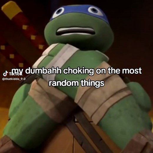 TMNT 2012: Leonardo vs Raph in Funny Moments