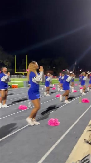 Lets Go Wildcats! 📣🐾 . . . . #blackgirlscheer #stompnshake #howardcheer #viral #cheer