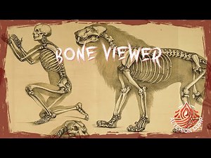 Bone Viewer - Showcase | RDR2 RedM