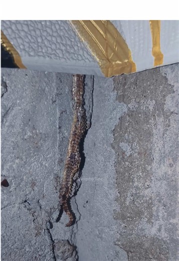 Paano Mag-install ng Wall Sticker Wallpaper