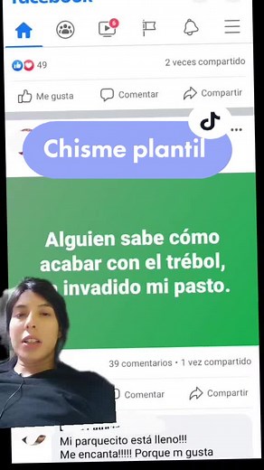 Beneficios y cuidados del trébol en jardinería